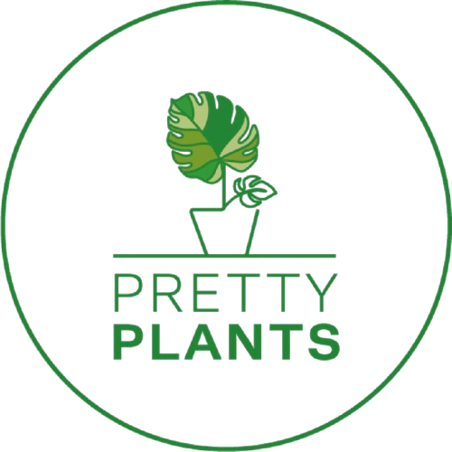 Pretty Plants